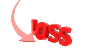 What is losses in Business?